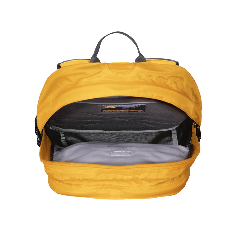 The North Face Ryggsäck Borealis Classic Guld/Svart 3