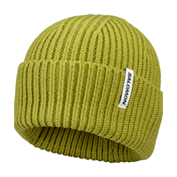 Salomon Mössa Snowbird Beanie Khaki grön