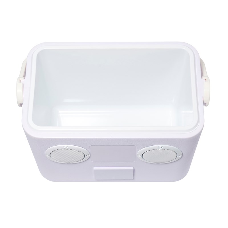 SUNNYLiFE Kylbox Cooler Box Speaker Lavendel 3
