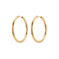 Winther Studio Øreringe Hoops Basic L Guld 1