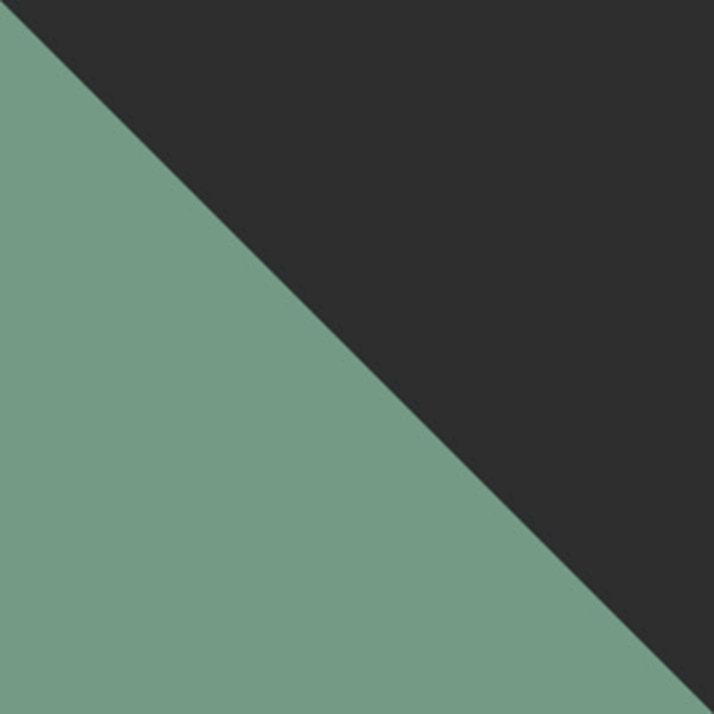 Columbia Ryggsäck Landroamer Travel  Mörkgrön 15" 6