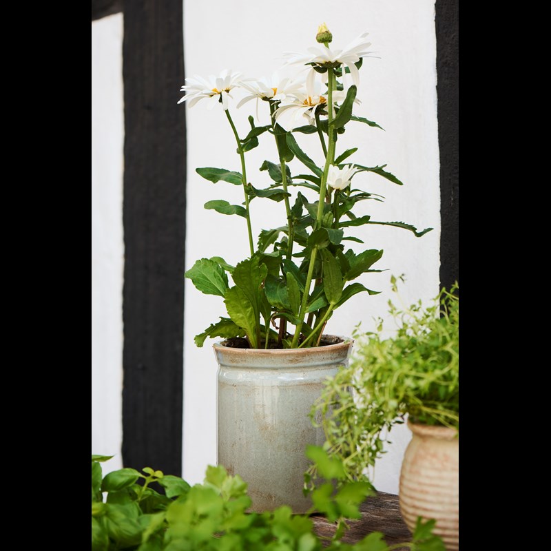 Ib Laursen Kruköverdrag Grå 2