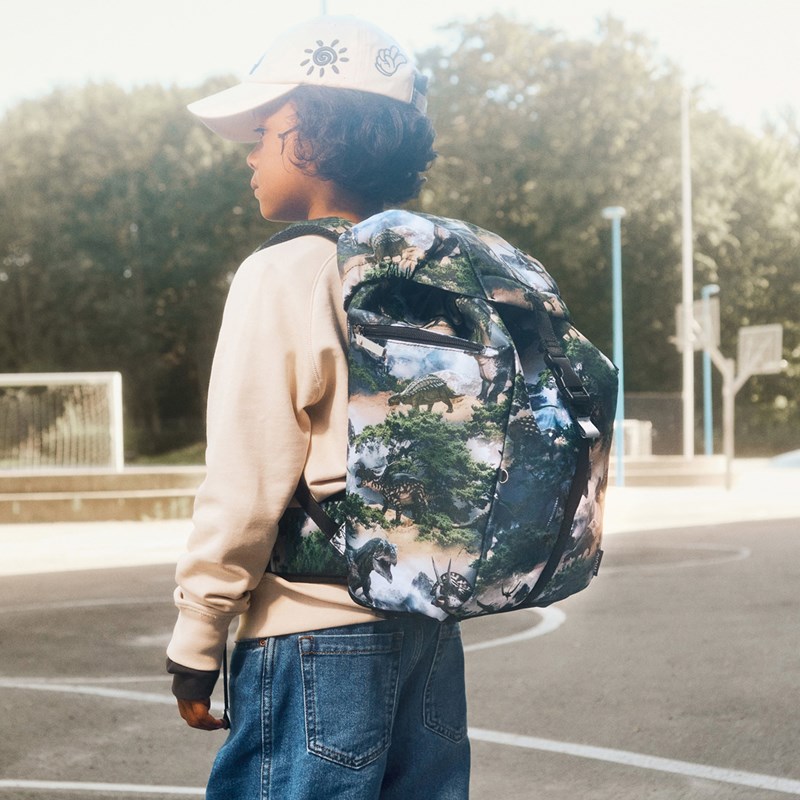 Molo Skoletaske Mountain Dino Multi 11