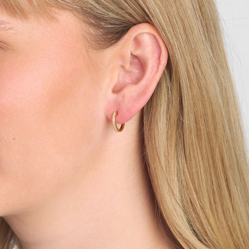 Studio Z Örhängen Creol Lumin Shine Guld 2