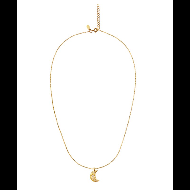 Maanesten Halsband Friendship Guld 7