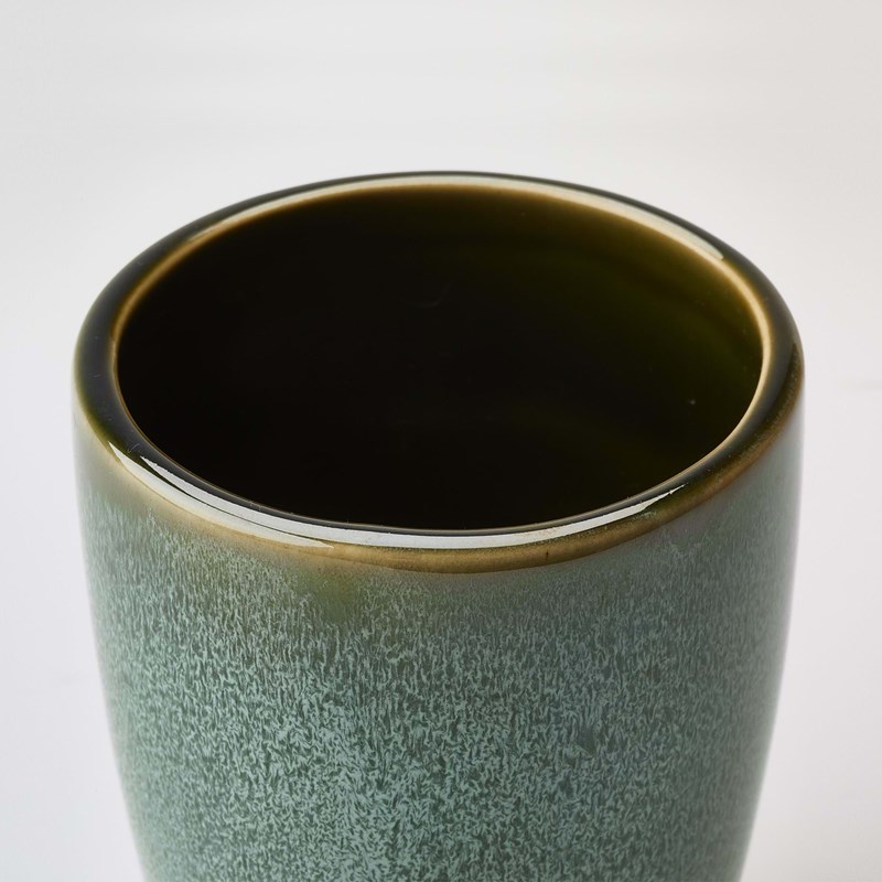 Aquanova Tandkrus Ugo Grøn 2