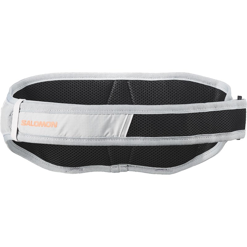 Salomon Bæltetaske Cross Grå/Lilla 3