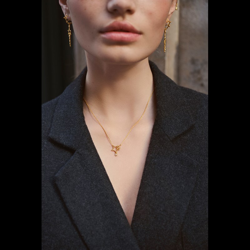 Maanesten Halsband Wilder Guld 2