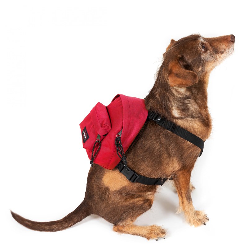 Eastpak Hundryggsäck Röd 2
