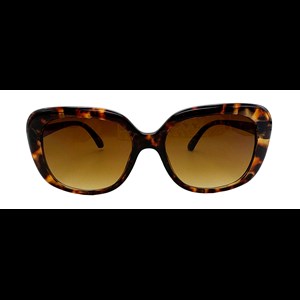 Conmé Solbrille Laguna Brun