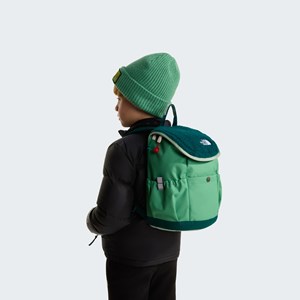 The North Face Børnerygsæk Mini Explorer Y Grøn/grøn alt image