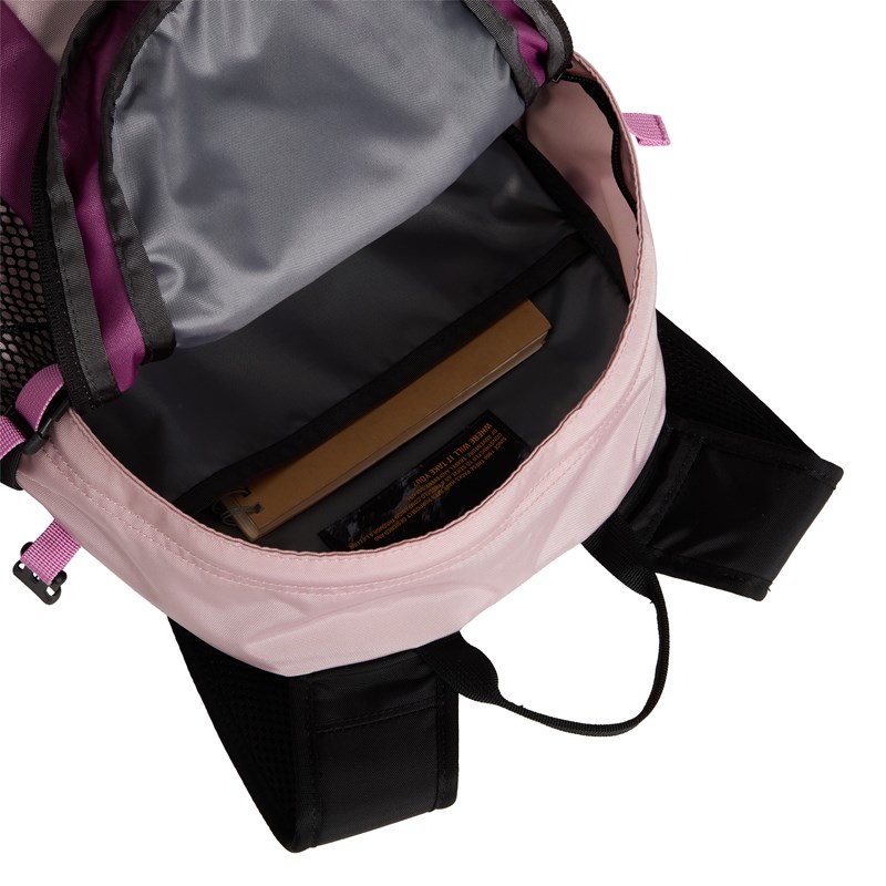 The North Face Ryggsäck Hot Shot Mini Rosa 5