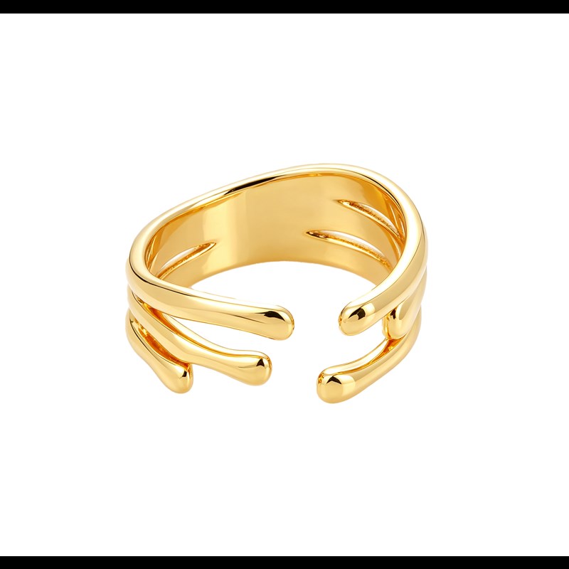 Conmé Ring Tokyo Guld 1
