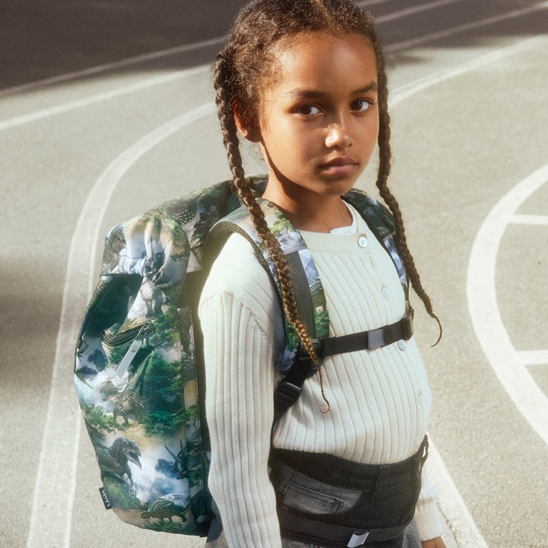 Molo Skoletaske Mountain Dino Multi 13