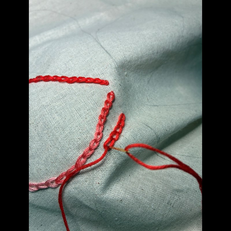 Conmé Canvas pose Natur 2