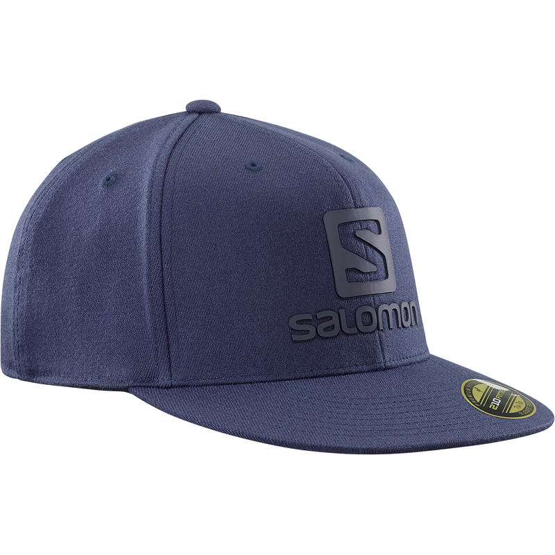 Salomon Kasket logo Blå 2