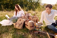The Bridge Rejsetaske Story Viaggo Brun/Beige 1