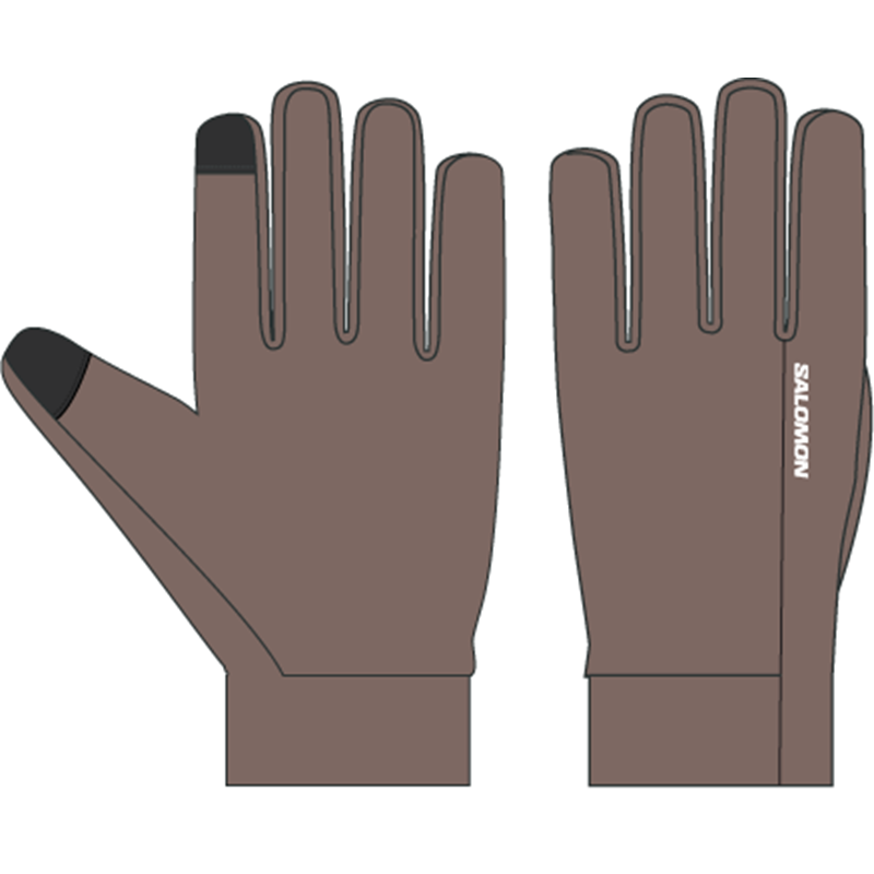 Salomon Handske Merino Gloves Grå Str S 2