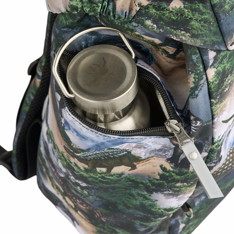 Molo Skoletaske Mountain Dino Multi 4