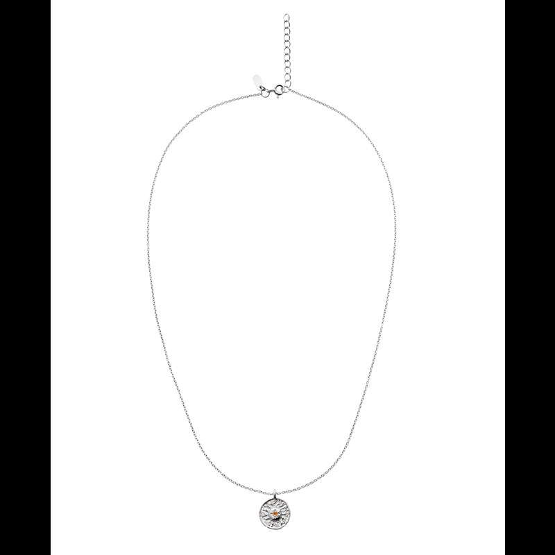 Maanesten Halsband Friendship Silver 4