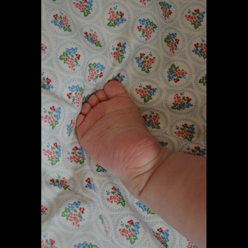 Konges Sløjd Sängkläder baby Verona Blues Multi 2