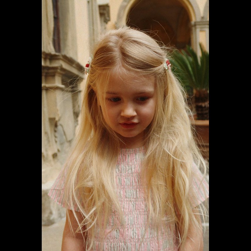 Konges Sløjd Hårklemmer 2-pak Flower Field Multi 2