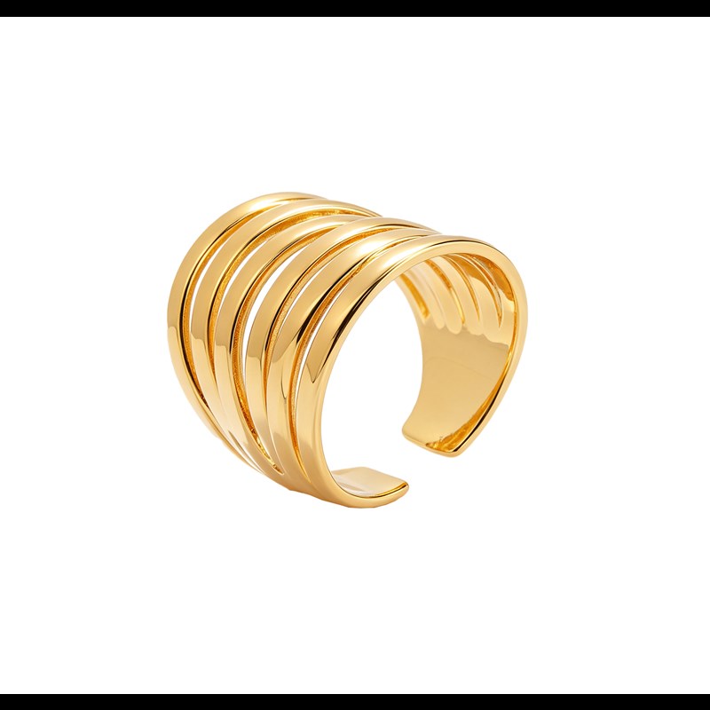 Conmé Ring Fukuoka Guld 3