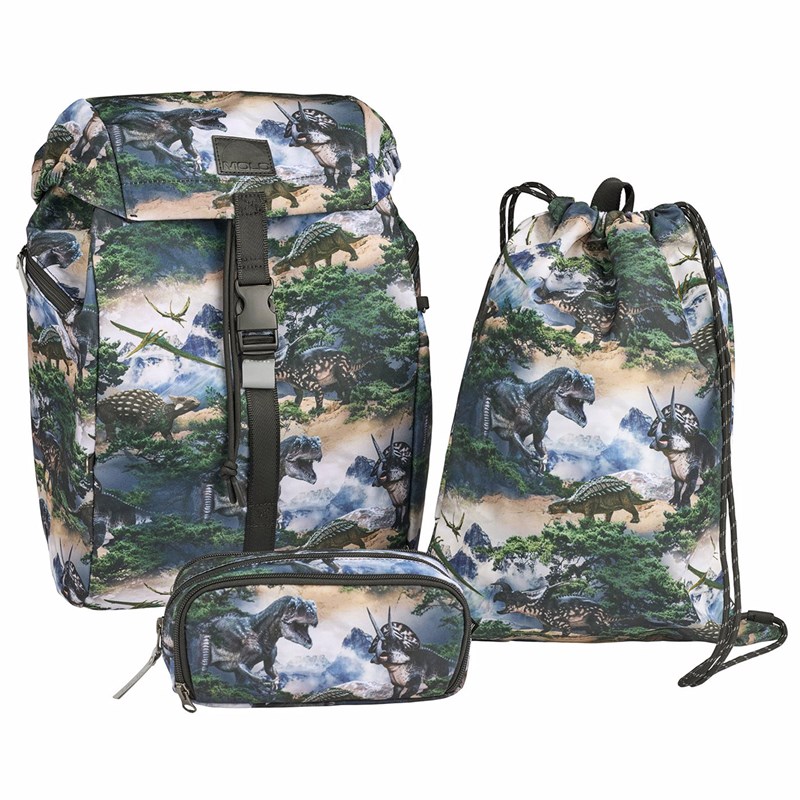 Molo Skoletaske Mountain Dino Multi 10