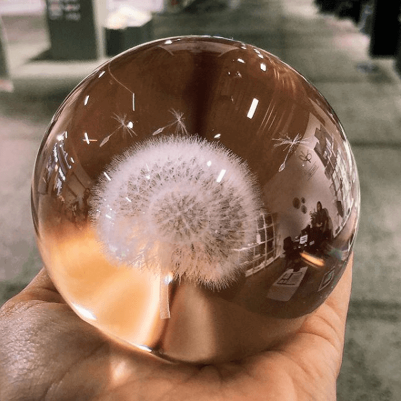 Kasia Lilja Krystalkugle Mælkebøtte Transparent 4