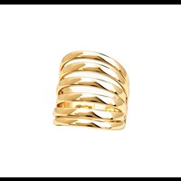 Conmé Ring Fukuoka Guld 1