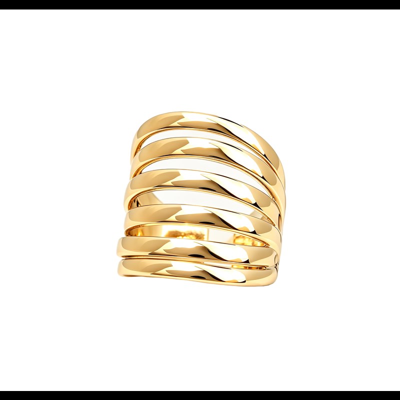 Conmé Ring Fukuoka Guld 1