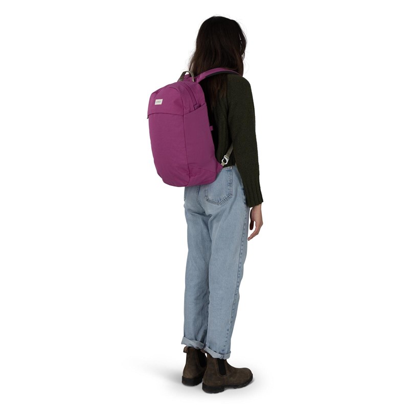 Osprey Ryggsäck Arcane Large Day Lila/violett 2