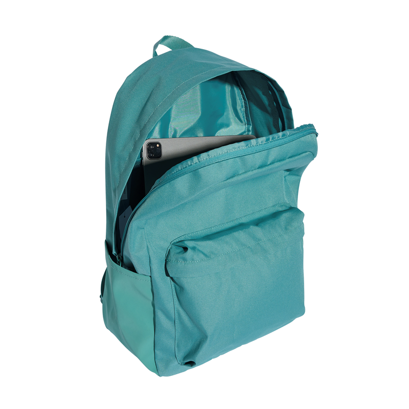 Adidas Originals Ryggsäck CLSC Bars Blå/Grön 3