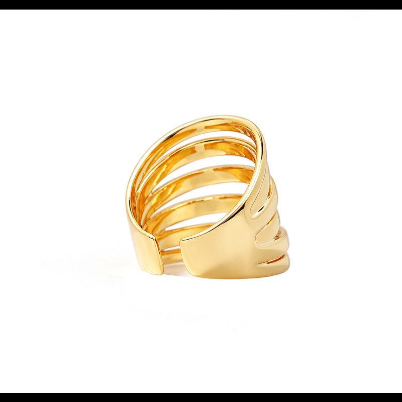 Conmé Ring Fukuoka Guld 2