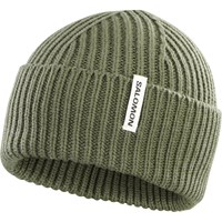 Salomon Mössa Snowbird Beanie Grön 1