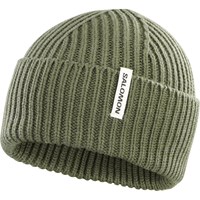 Salomon Hue Snowbird Beanie Grøn