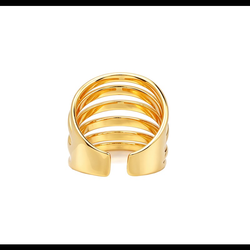 Conmé Ring Fukuoka Guld 6