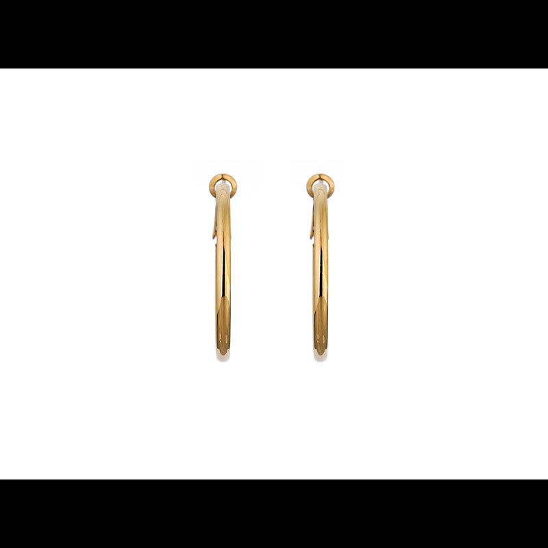 Conmé Örhänge Milano small Guld 3