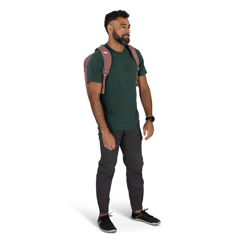 Osprey Ryggsäck Arcane Large Day Lila 5