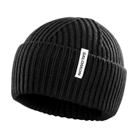 Salomon Mössa Snowbird Beanie Svart 1