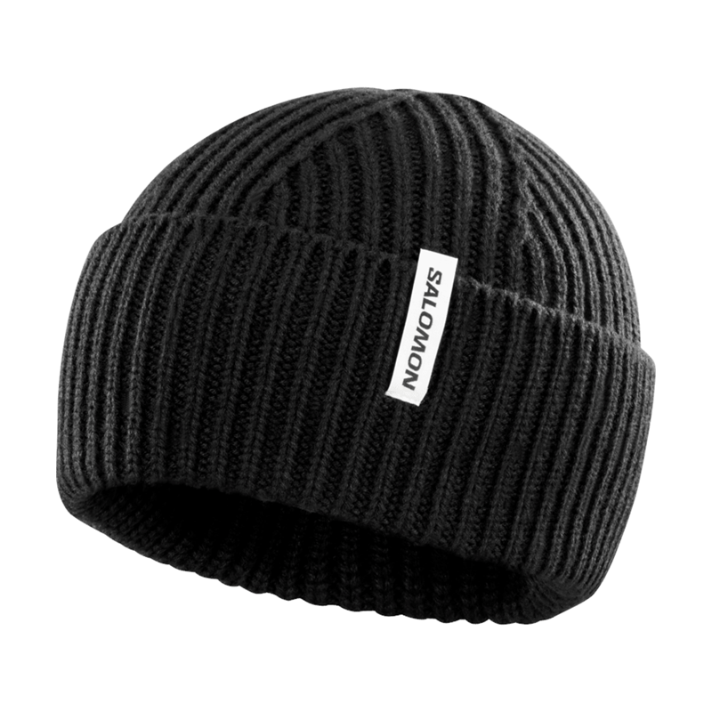 Salomon Mössa Snowbird Beanie Svart 1