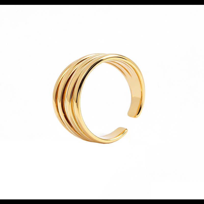 Conmé Ring Fukuoka Guld 4