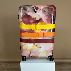 Aries Travel Bagagerem Bordeaux alt image