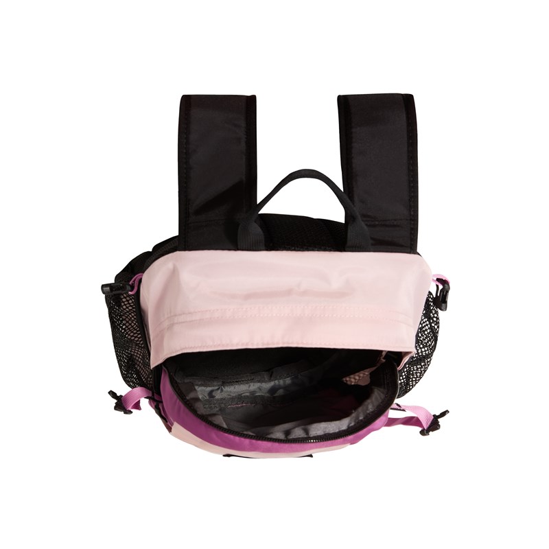 The North Face Ryggsäck Hot Shot Mini Rosa 4