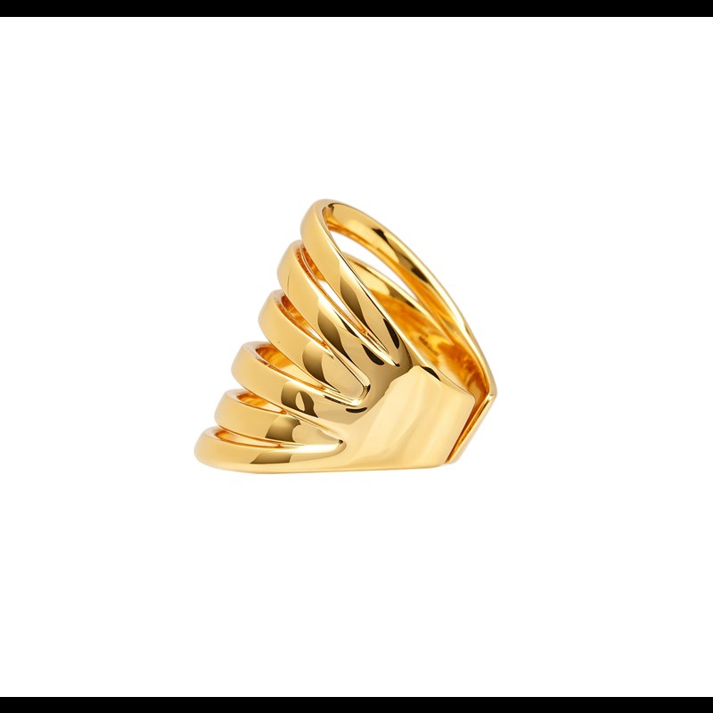 Conmé Ring Fukuoka Guld 5