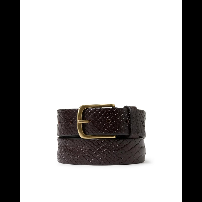 Saddler Læderbælte Luca M. Brun 85 Cm 1